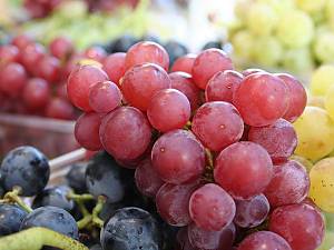 Weintrauben bei den Weintagen